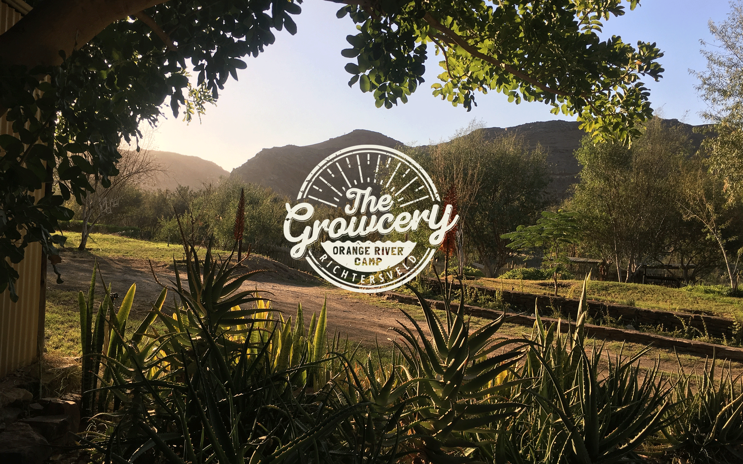 The-Growcery