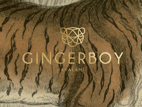 <span>GingerBoy Restaurant – Brand Identity</span><i>→</i>
