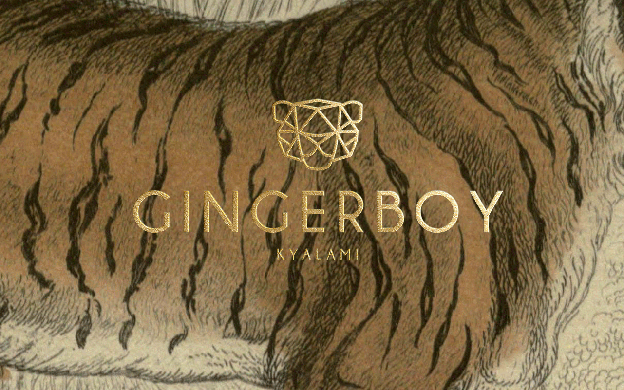 Gingerboy_Branding_2-1