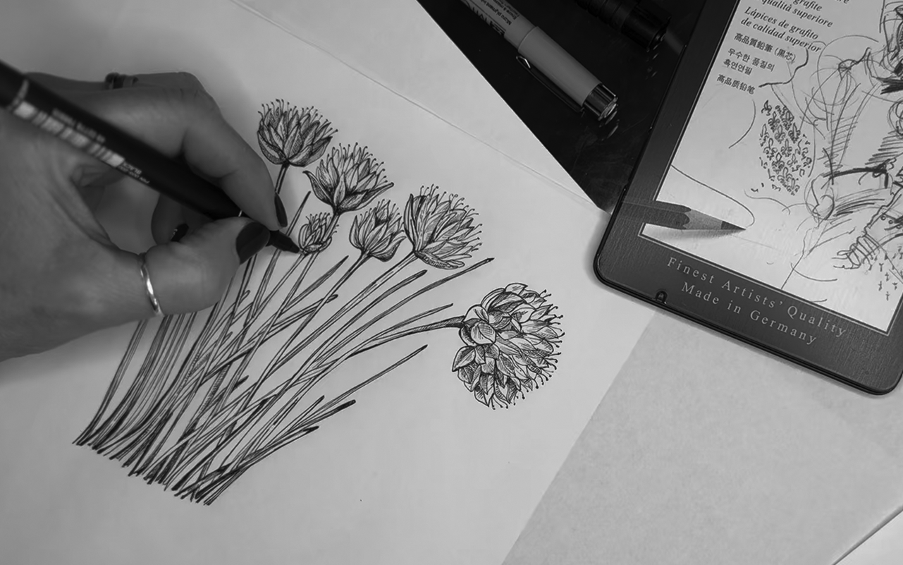 Raylands House Illustrations
